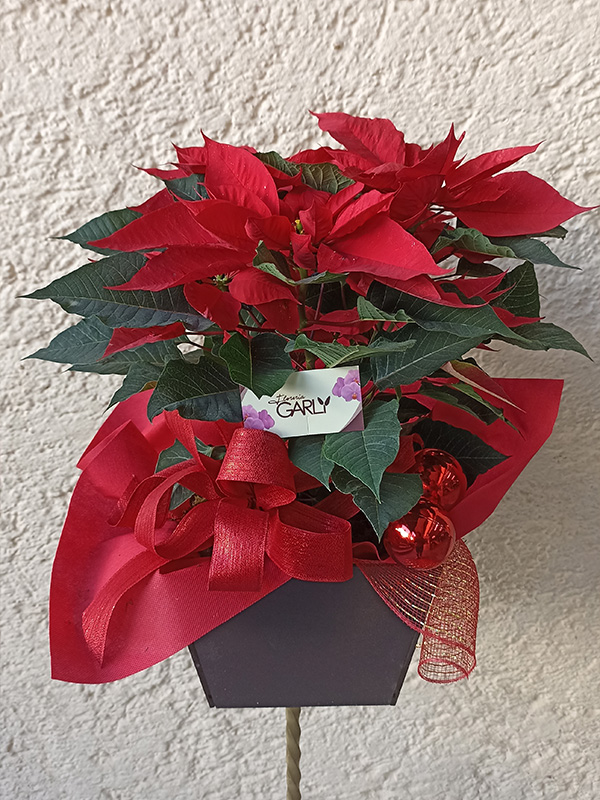navidad-nochebuena-esfera